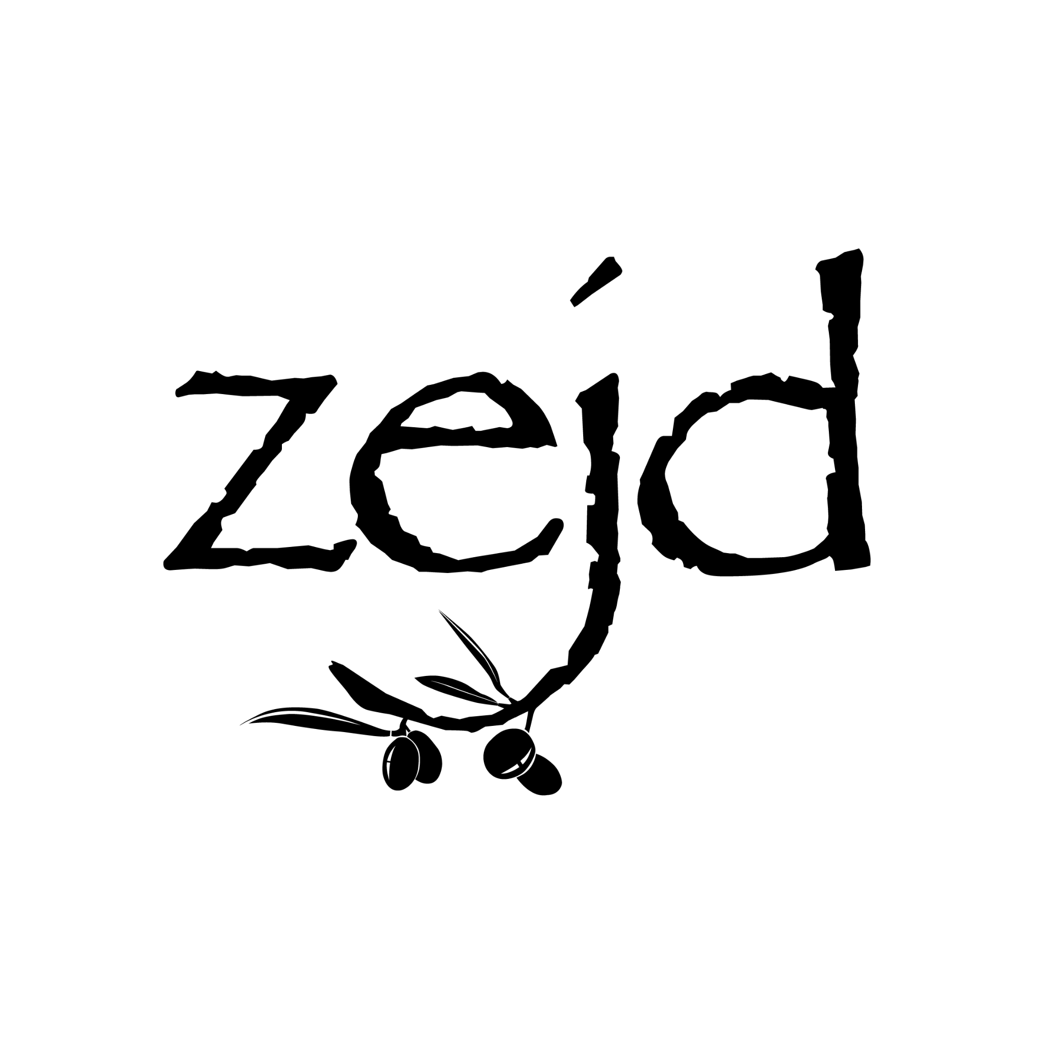 Zejd logo